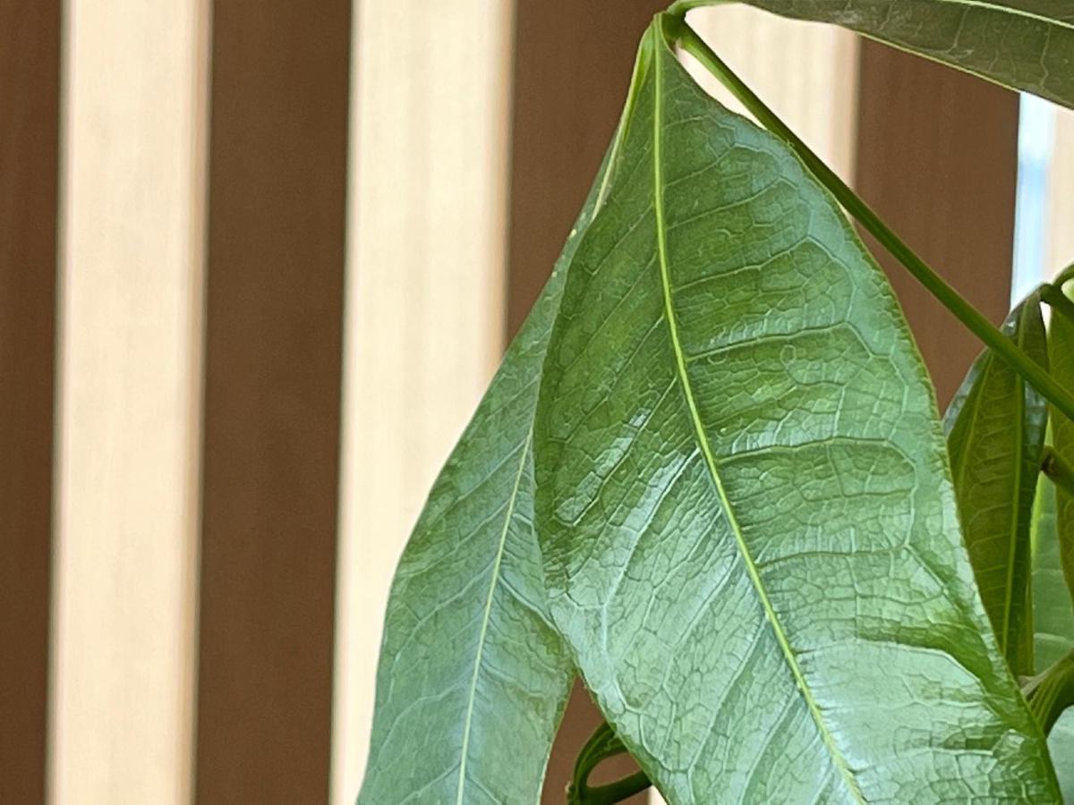 Hotel & Glamping Act Futtsu المظهر الخارجي الصورة